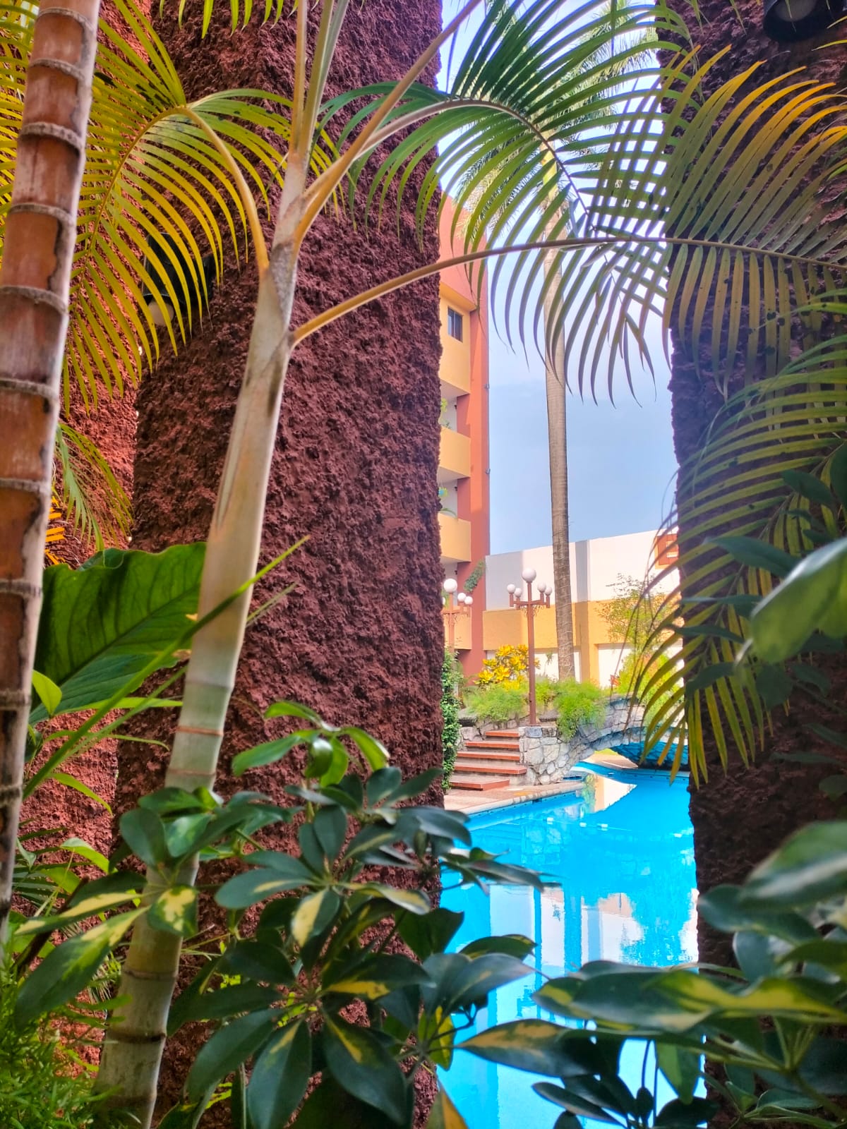 Alberca del Hotel QuintaMar